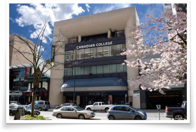 CCEL/CCとは